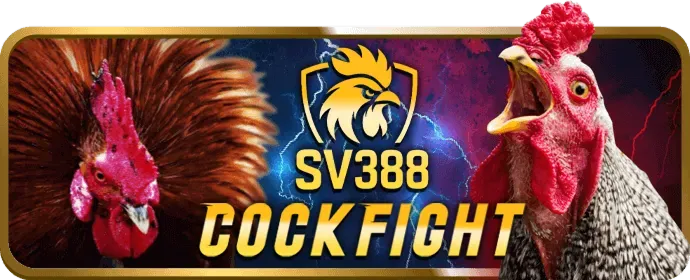 Chương trình Đại lý 01win55 chính thức